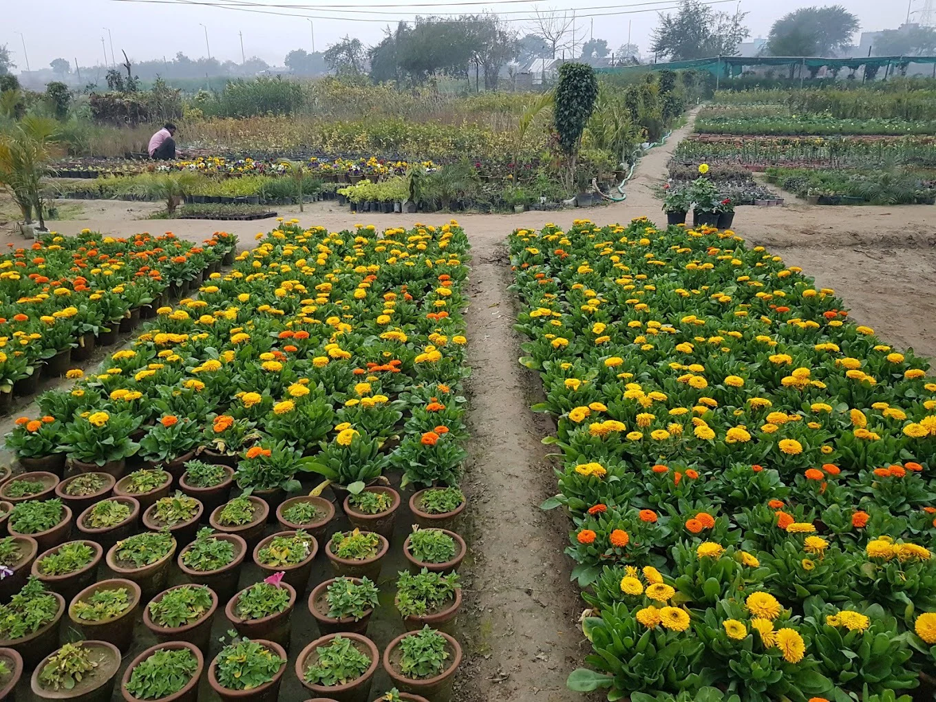 River sand delivery Bangalore Natural river sand dealers Bangalore Bulk river sand suppliers Bangalore Washed river sand Bangalore Plastering river sand Bangalore Fine river sand Bangalore Coarse river sand Bangalore Price-Related: River sand price in Bangalore Comparison/Alternatives: M-sand vs river sand Bangalore River sand suppliers Bangalore bulk delivery Natural river sand dealers Bangalore washed sand River sand price Bangalore comparison M-sand