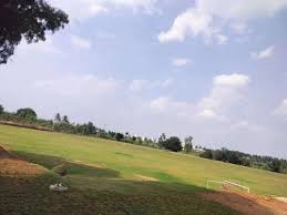 River Sand Bangalore | Cricket & Football Pitch Wholesale Sports Ground Sand Supplier | Bangalore Delivery Washed River Sand for Stadiums Bangalore images (1)